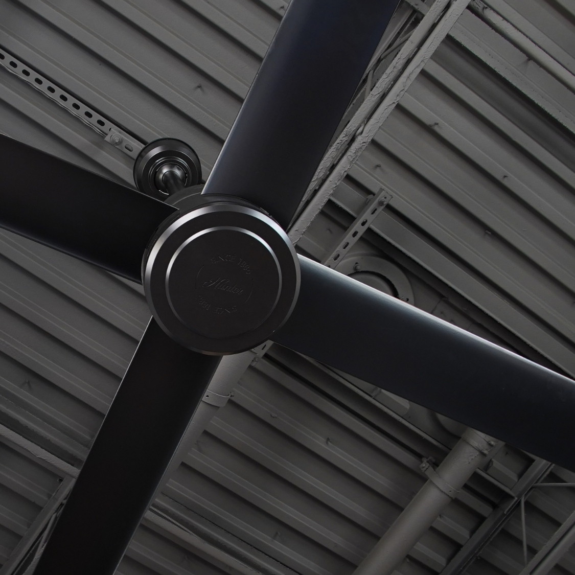 Ventilateur Hunter TRAK Edge noir vu de près sous une charpente métallique sombre